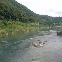 久しぶりの有田川