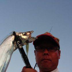 久しぶりの武庫一