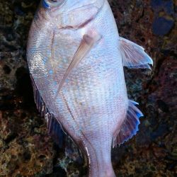 今日は久しぶりのロック