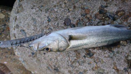 ポロリポロリ…