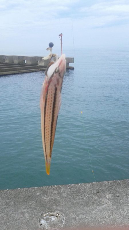 石田釣り桟橋、壊れました。