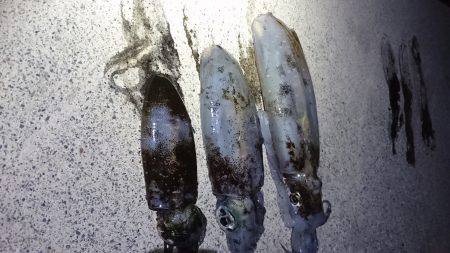 短時間エギング