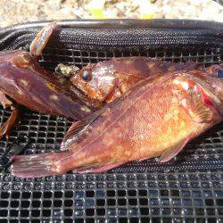 冬の海模様になってきました(`・ω・´)