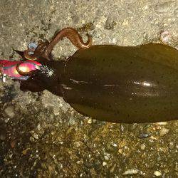 釣れない時のＪＰ頼み