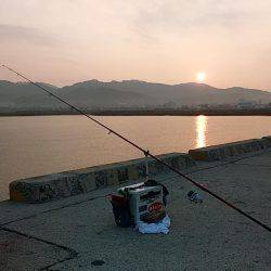 都志港へキス調査