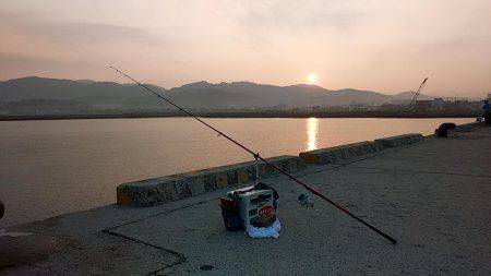 都志港へキス調査