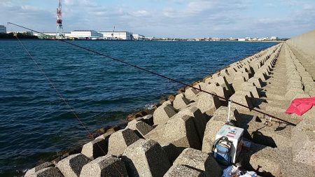 東二見へ落ちギス調査