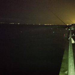 タッチーゲットー