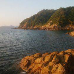 ロックフィッシュ アジゴ エギング