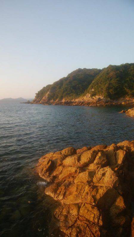 ロックフィッシュ アジゴ エギング