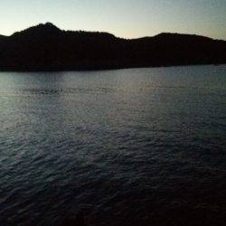 teamゲッソー調査隊