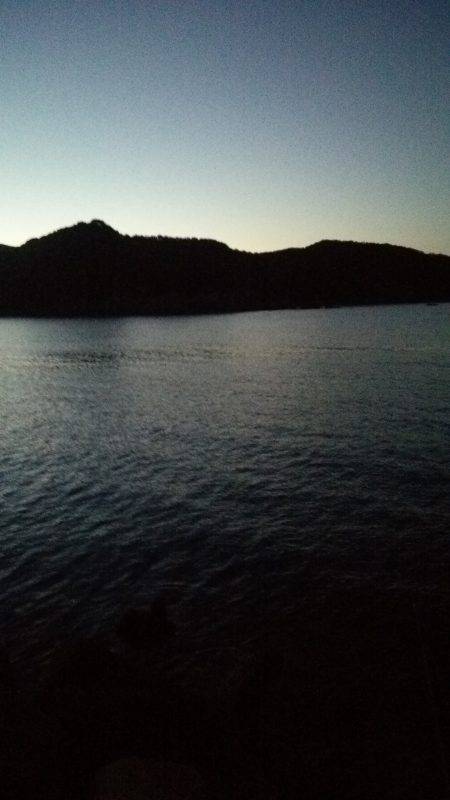 teamゲッソー調査隊