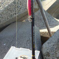 teamゲッソー調査隊