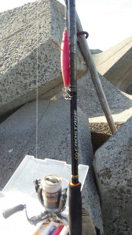 teamゲッソー調査隊