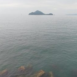 なんとか坊主回避