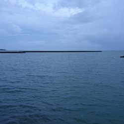 西表島 強風止まず、１週間ぶりに出掛けました。