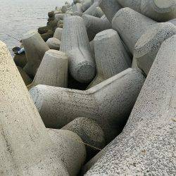 タチウオからのジギングからの穴釣り