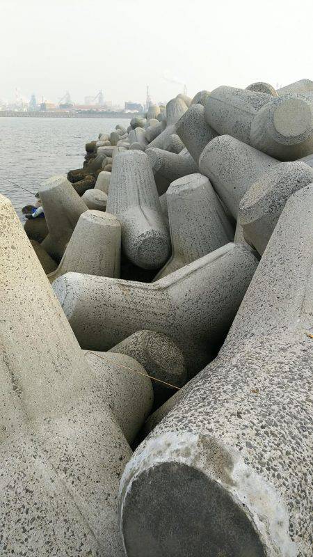 タチウオからのジギングからの穴釣り