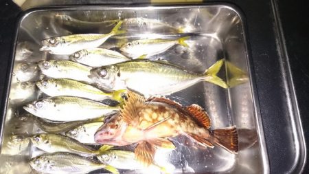 台風後のデイアジング