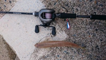 ライトソルト　エソ