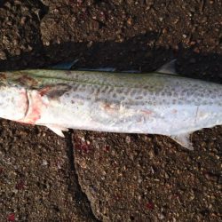 刀狩り、、からの？