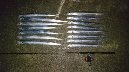 ケーソンタチウオ