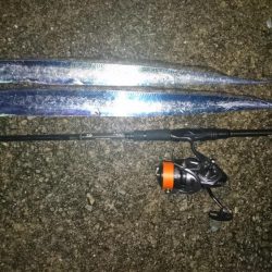 タチウオちょい渋