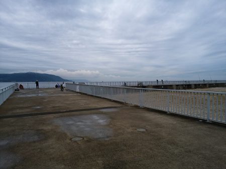 エギングは難しい・・・