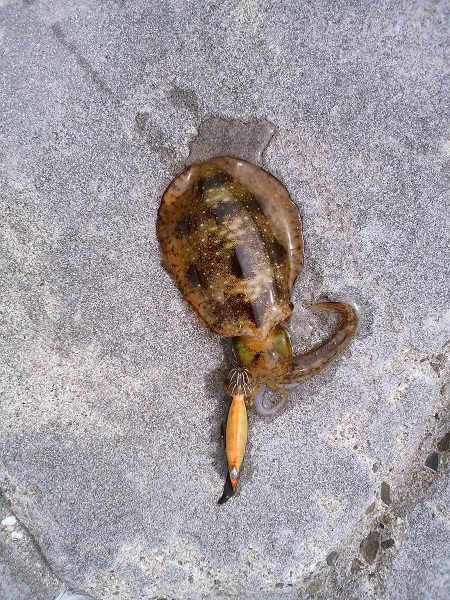 トップでツバス2連発するも・・・