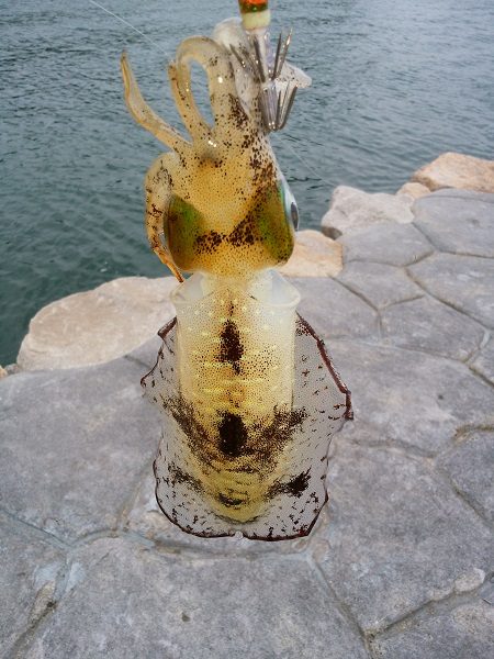 時合がハッキリしています