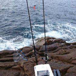 青物、根魚狙い
