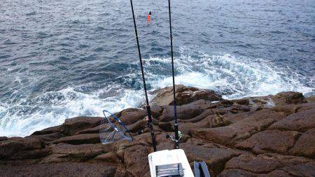 青物、根魚狙い