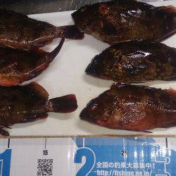 波があるときは釣れやすい！？