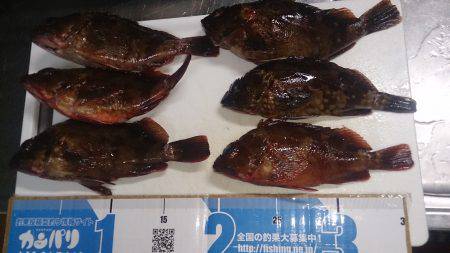 波があるときは釣れやすい！？