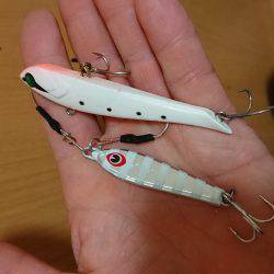 和歌山太刀魚調査