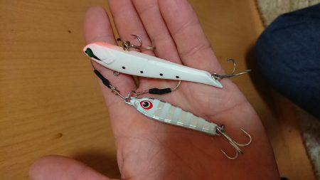 和歌山太刀魚調査