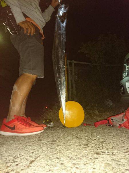 怪物デタ！！！(;°Д°)