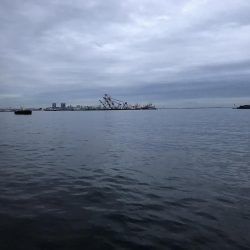 タチウオ専用ロッド