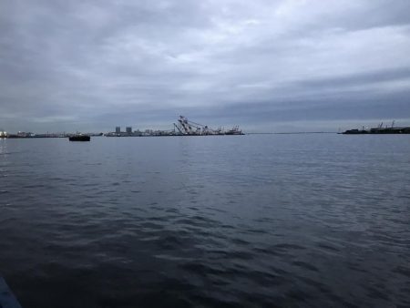 タチウオ専用ロッド