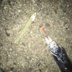 パターンは長めのフォール！もう一度言います長めのフォールです！！