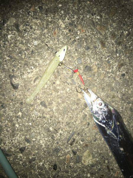 パターンは長めのフォール！もう一度言います長めのフォールです！！