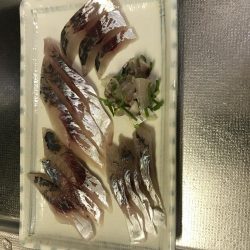 ノマセ釣り