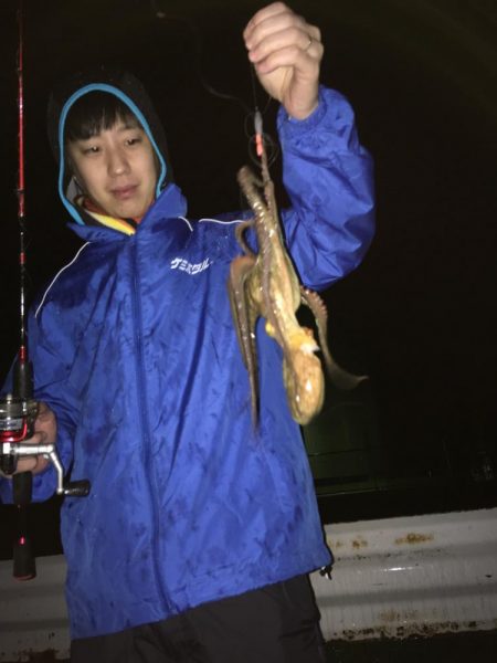 毎度、外道に癒やされる