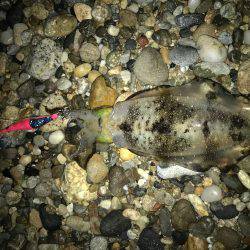 寒気、北風、寒い!