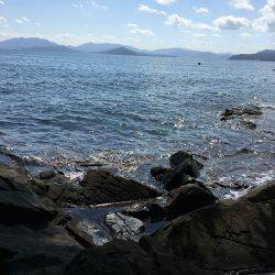 朝夕マズメロング釣行