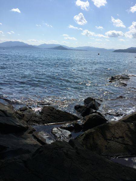 朝夕マズメロング釣行