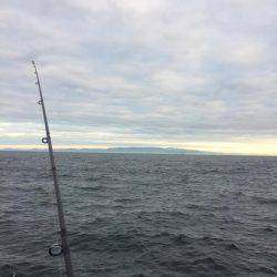 ツバスでしたー