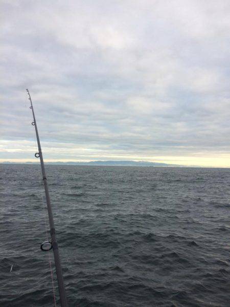 ツバスでしたー