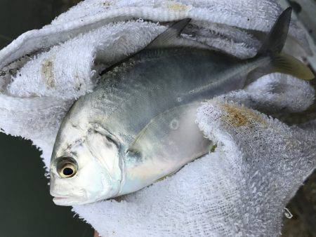 朝夕メッキ三昧