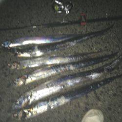 仕事帰りにマイポイントで刀狩♫